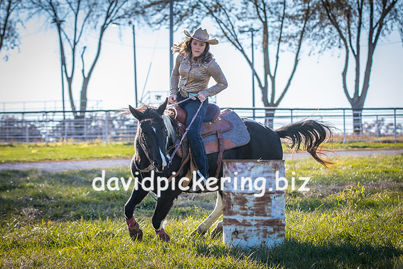 DPP_1687-17