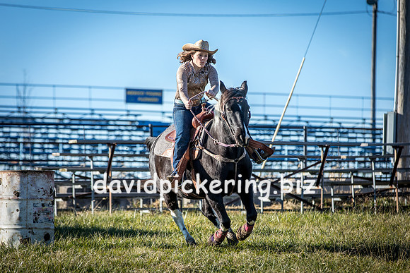 DPP_1651-8