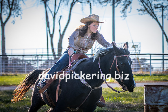 DPP_1690-19