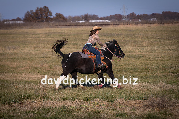 DPP_1616-1