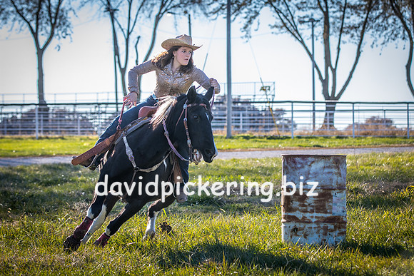 DPP_1689-18