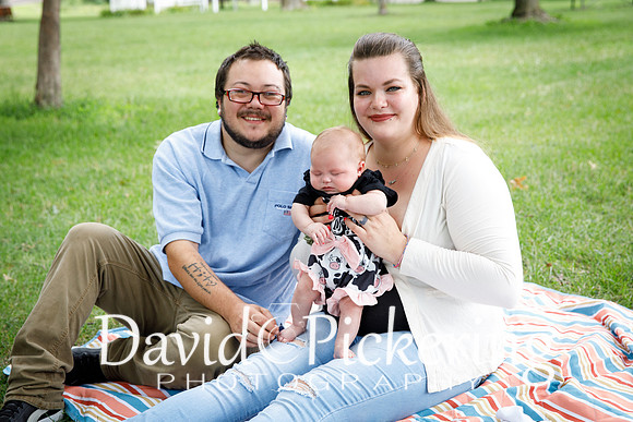 DPP_2306-28