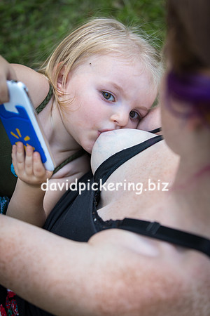 DPP_0246-13