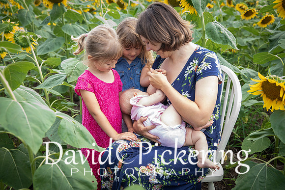DPP_7190-16