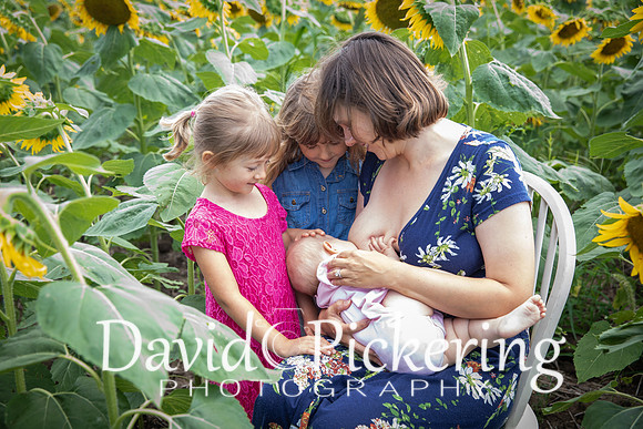 DPP_7199-18