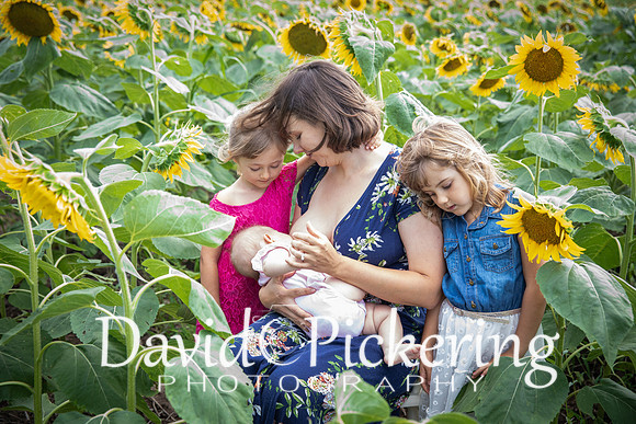 DPP_7209-21