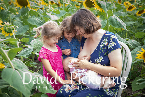 DPP_7198-17
