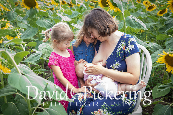 DPP_7200-19