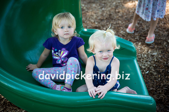 DPP_3646-11