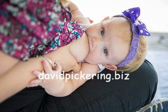 DPP_3791-81