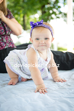 DPP_3802-85