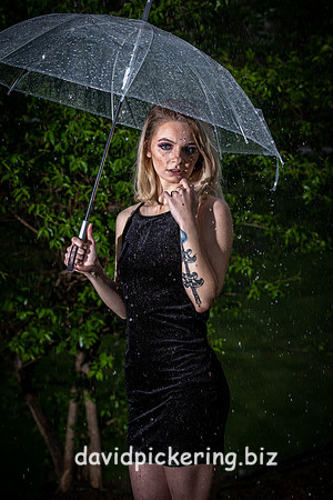 DPP_9268-19