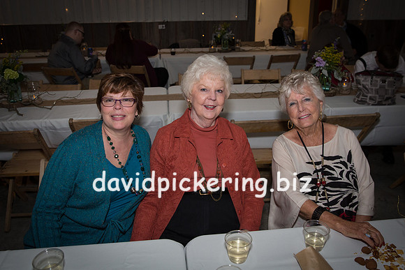 DPP_0315-5
