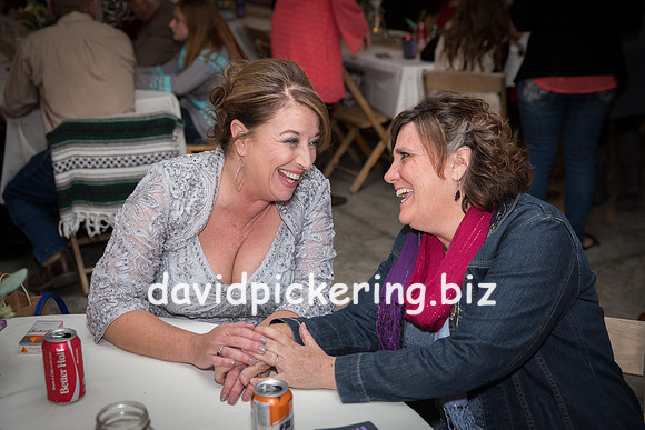 DPP_0335-14