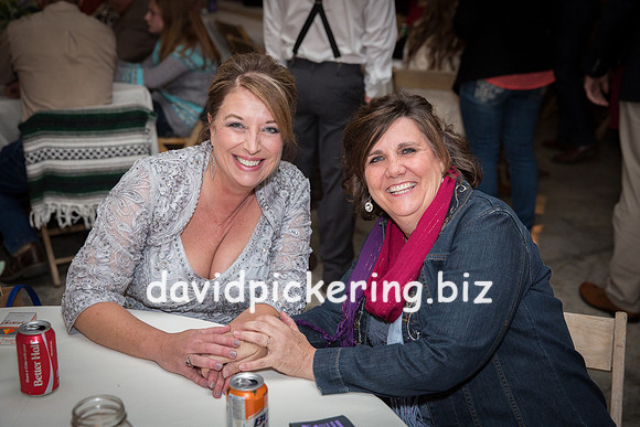 DPP_0336-15