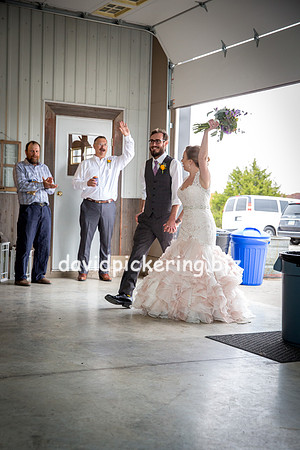 DPP_0339-17