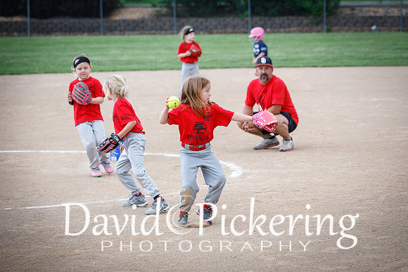 DPP_1095-17