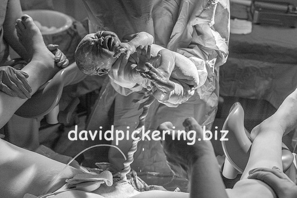DPP_9626-56
