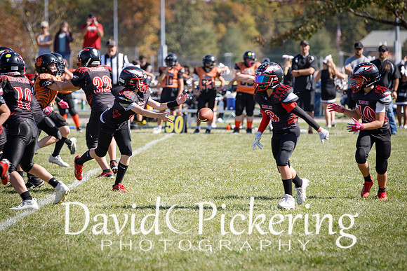 DPP_2977-79