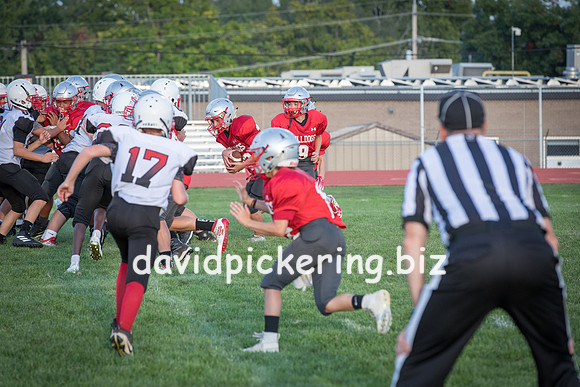 DPP_7460-73