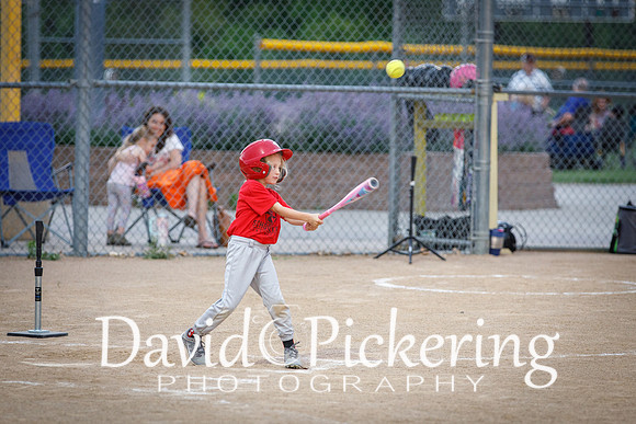 DPP_1164-29