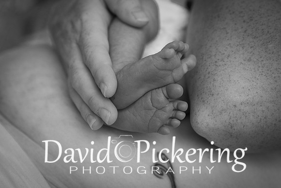 DPP_4942-53