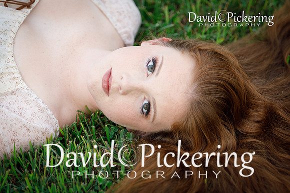 DPP_3135-92