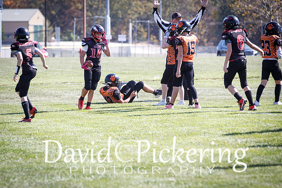 DPP_2815-51
