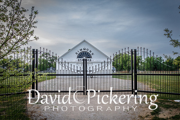 DPP_5292-149