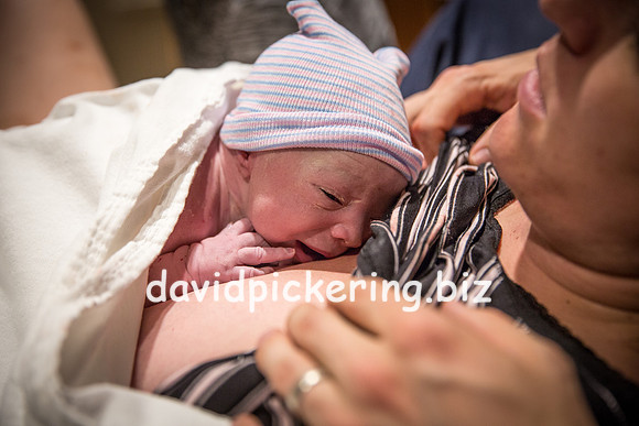 DPP_6458-218