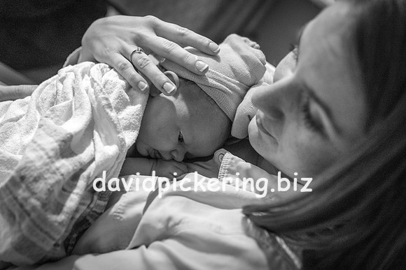 DPP_9963-147