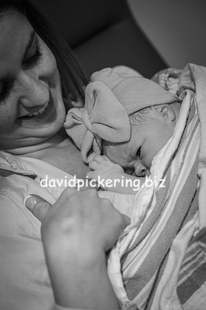 DPP_9834-115