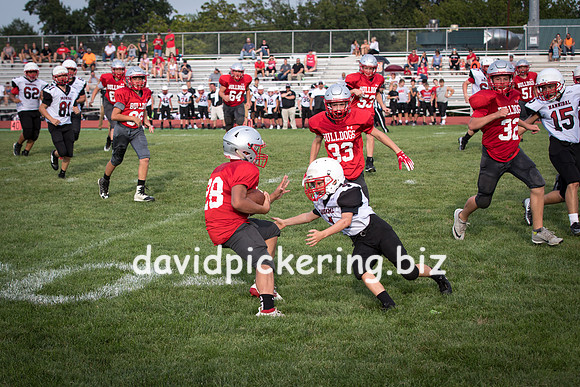 DPP_7370-55