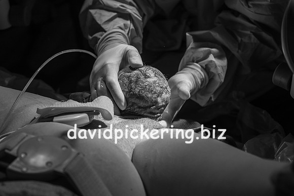 DPP_9598-46