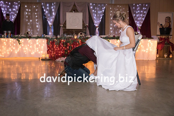 DPP_8179-219
