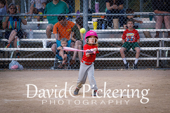 DPP_1219-38