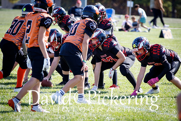 DPP_2746-29