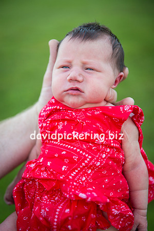 DPP_7329-58
