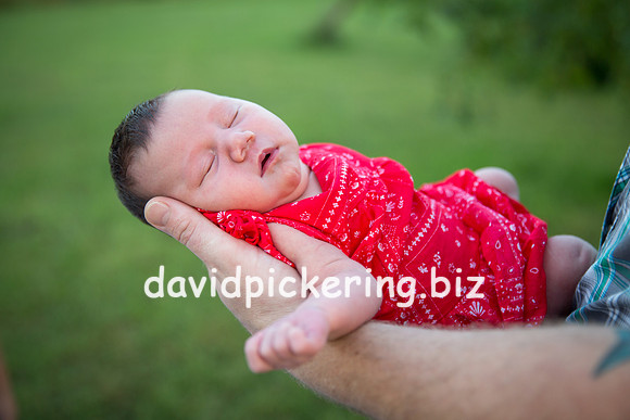DPP_7302-49