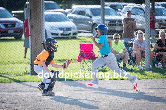 DPP_6199-66