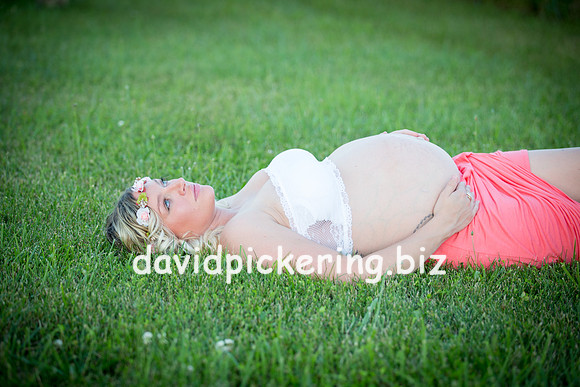 DPP_1856-110