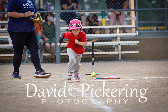 DPP_1132-25