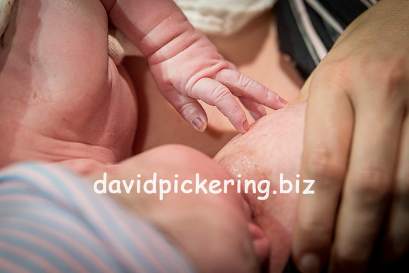 DPP_6554-260