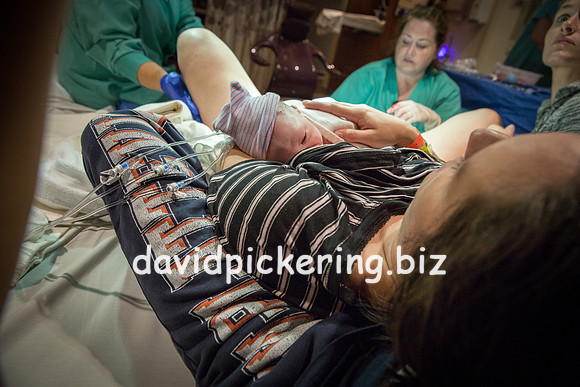 DPP_6529-244