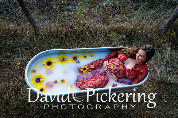 DPP_8621-152