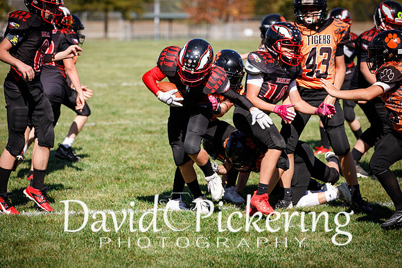 DPP_3146-95