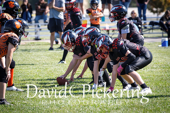 DPP_2840-55