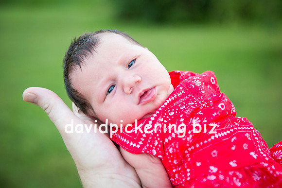 DPP_7338-59
