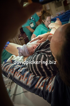 DPP_6528-243
