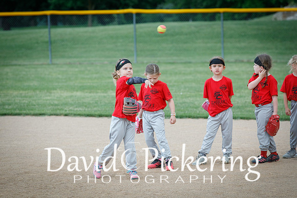 DPP_1072-11